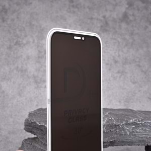 LİTO D+ iPhone 12 Pro Max 6.7 Privacy Ekran Koruyucu